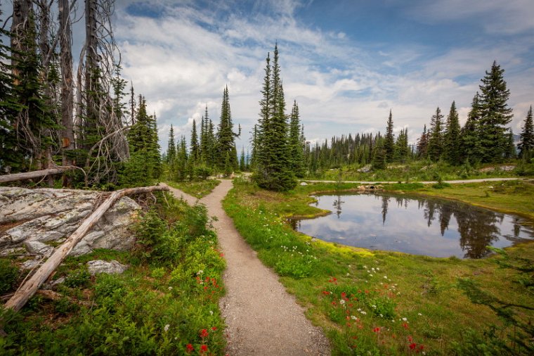 157 Canada, Mount Revelstoke NP.jpg